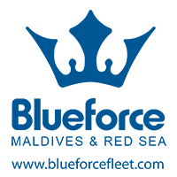 Blueforcefleet